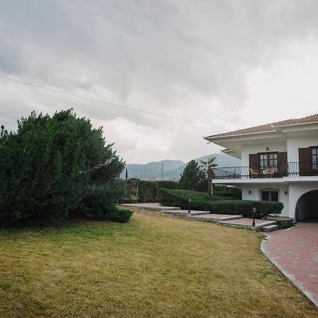 Mythic House Βίλα Λεπτοκαρυά Εξωτερικό φωτογραφία
