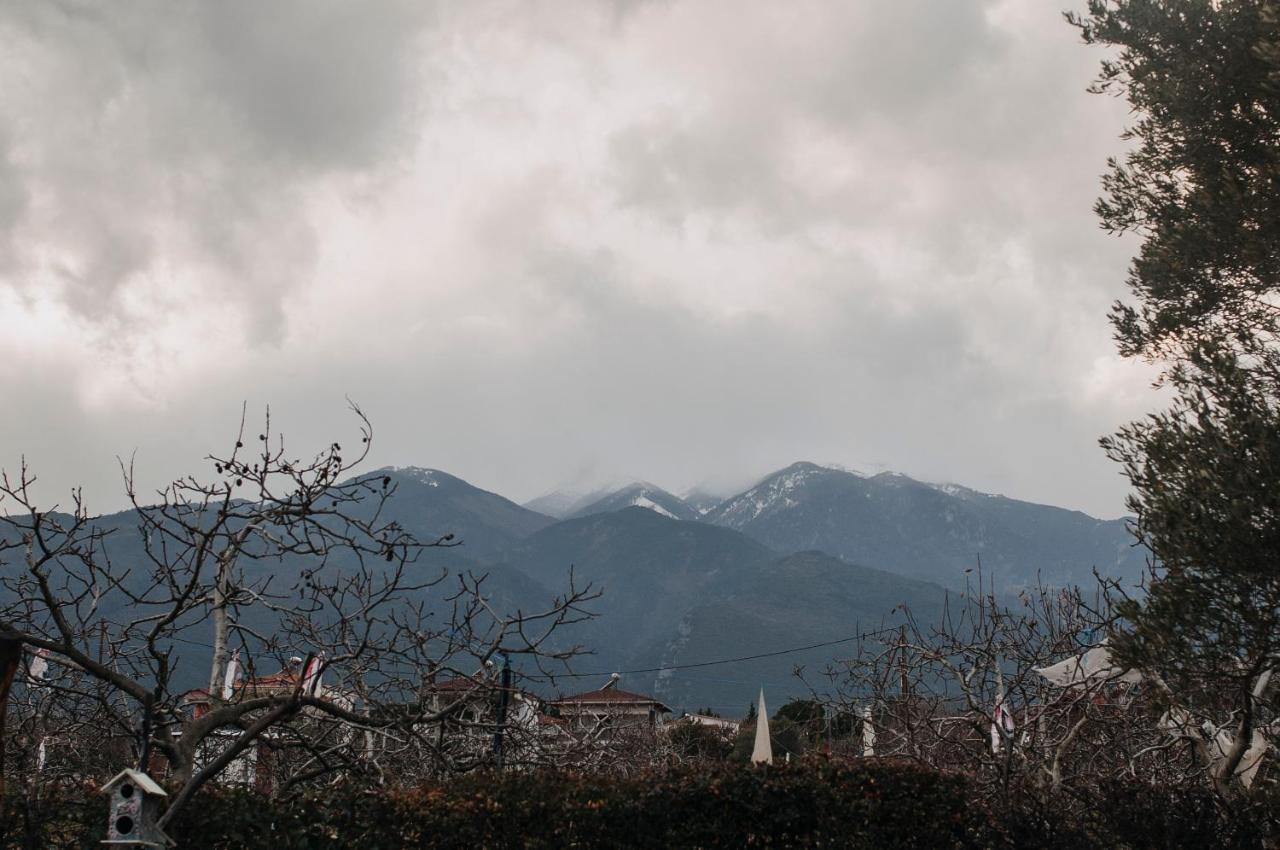 Mythic House Βίλα Λεπτοκαρυά Εξωτερικό φωτογραφία