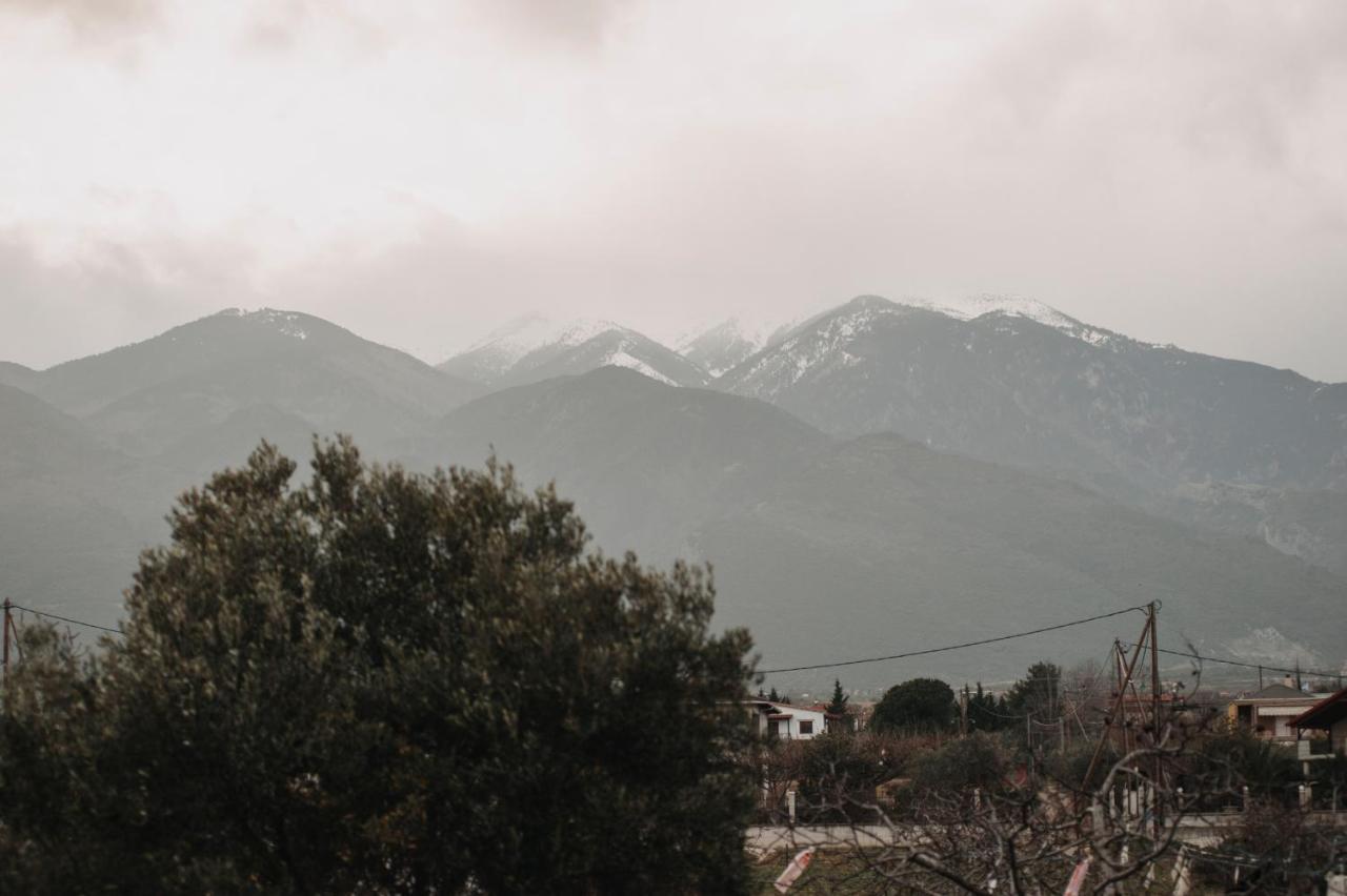 Mythic House Βίλα Λεπτοκαρυά Εξωτερικό φωτογραφία